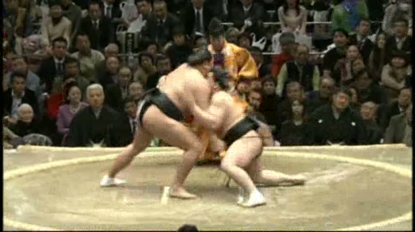 harumaleg.jpg